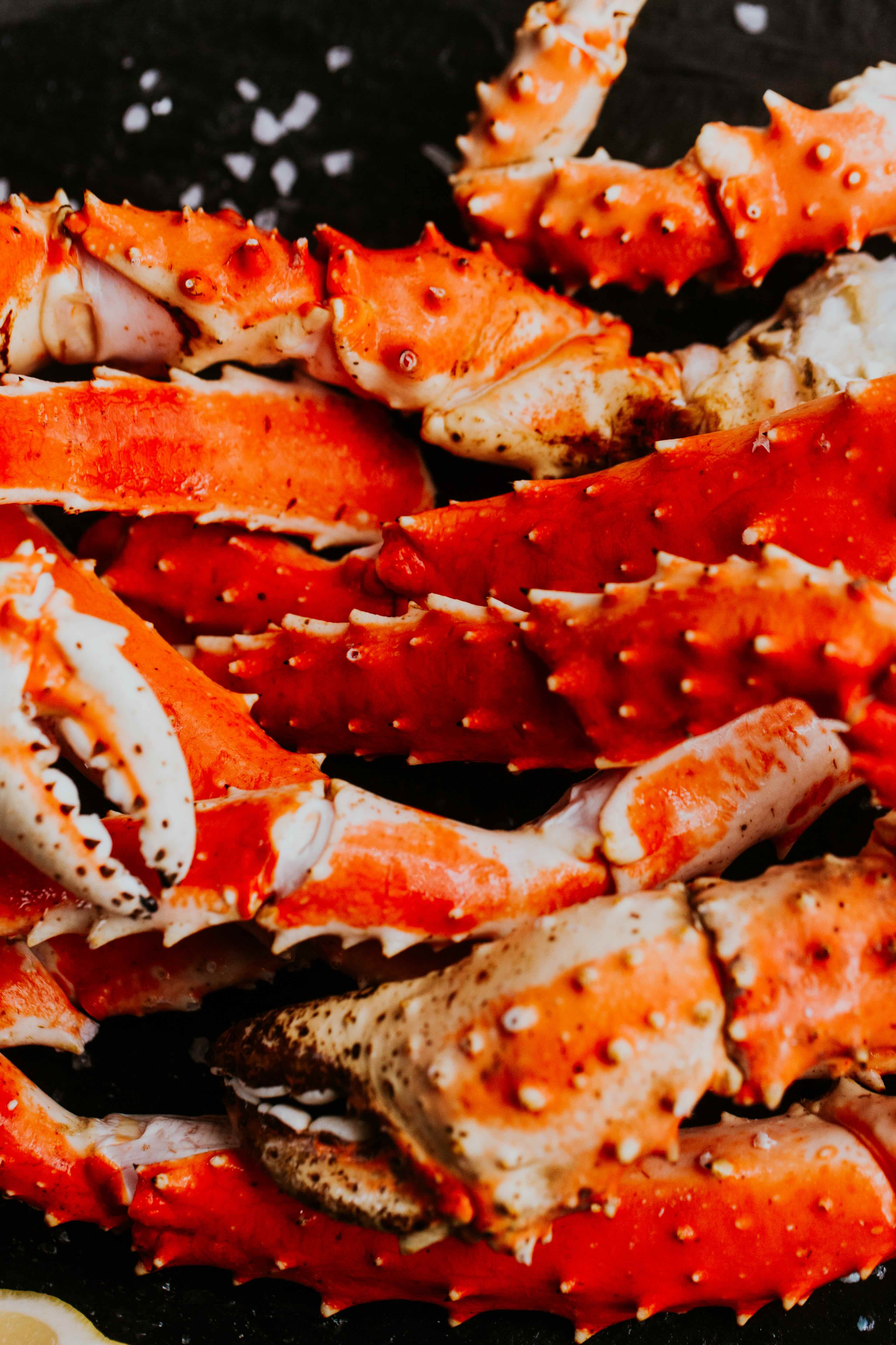two people in a workspace working on their laptops 