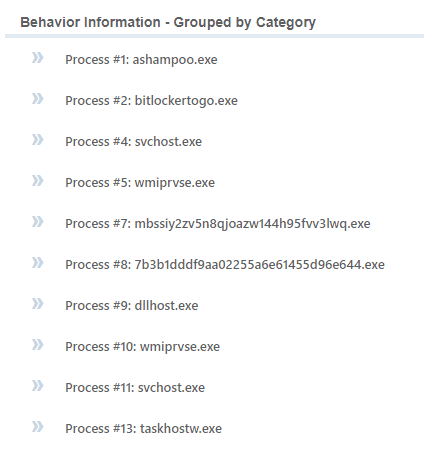 Ein Screenshot, der eine nach Kategorien gruppierte Liste von Prozessen in einem Systemüberwachungsprogramm anzeigt, einschließlich Dateinamen wie ashampoo.exe, bitlockertogo.exe, mviprvse.exe und svchost.exe, die auf verschiedene laufende Aufgaben hinweisen.
