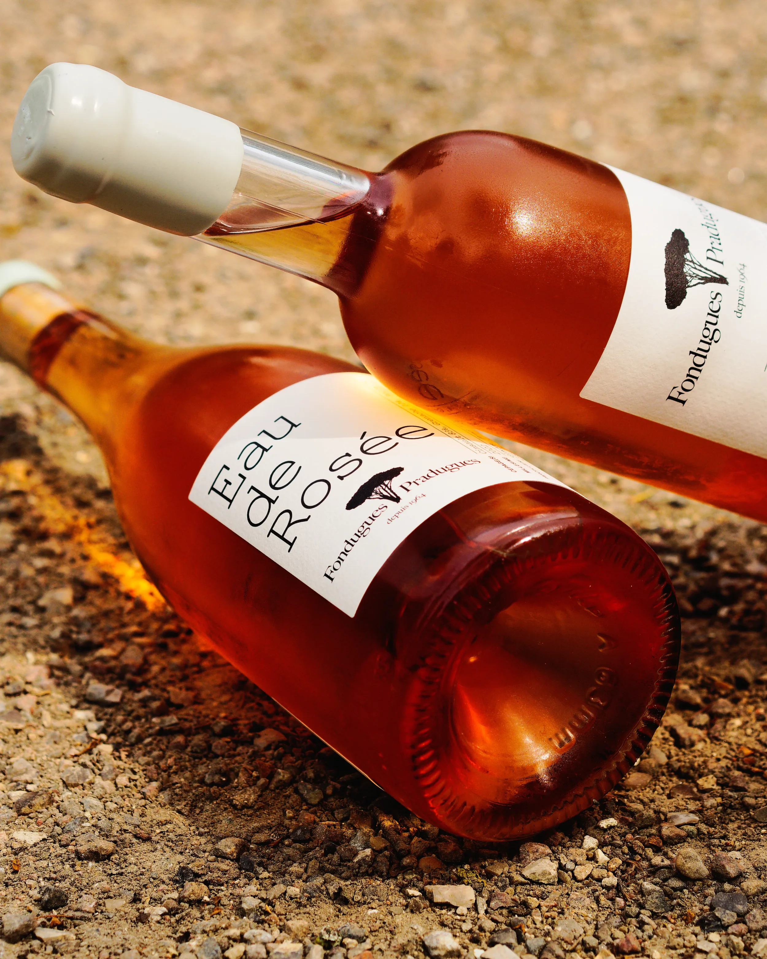 Photographies sensibles et naturelles mettant en valeur les bouteilles de vin nature vendues par Paris 90 à Copenhague