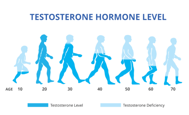 Testosterone Hormone Level by Age (1)