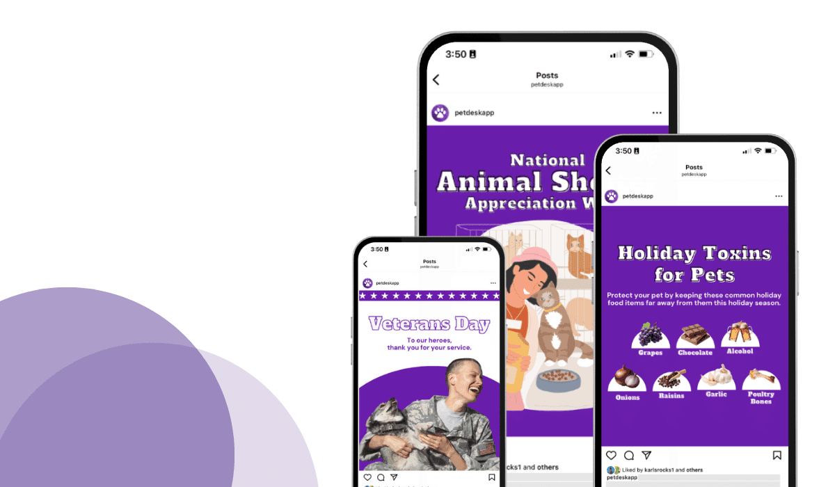 13 Awesome Veterinary Marketing Ideas for November