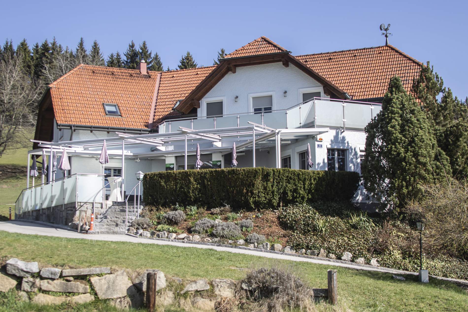 Close-up of lush, dark green leaves, some glossy and wet, against a muted background.
