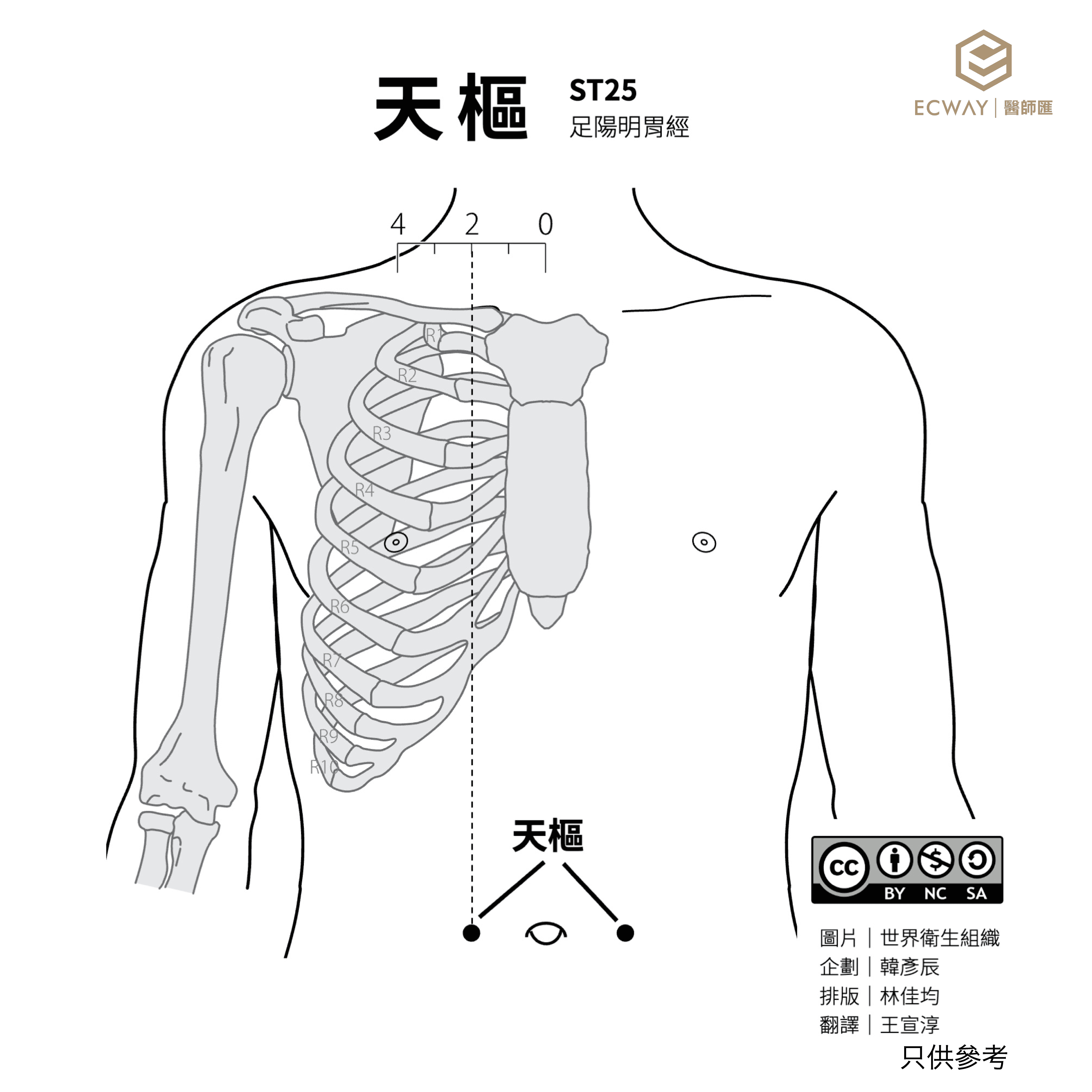 天樞穴