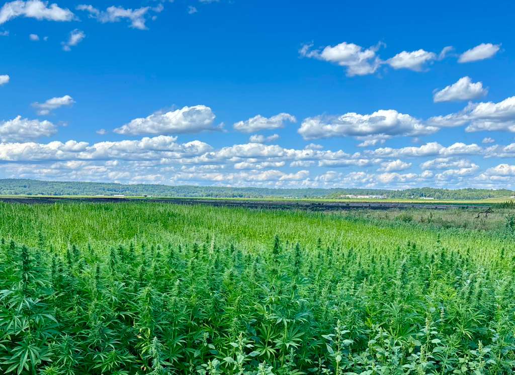 Coach explaining something to an athlete