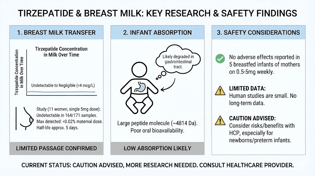 Key research findings on tirzepatide safety during breastfeeding summary infographic