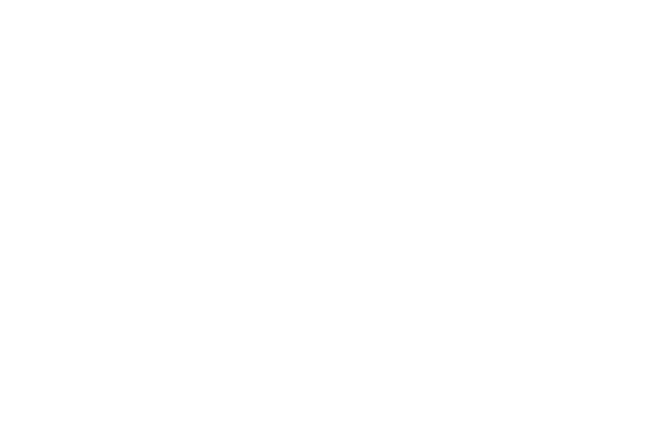 Simple Vacation Rentals  logo white