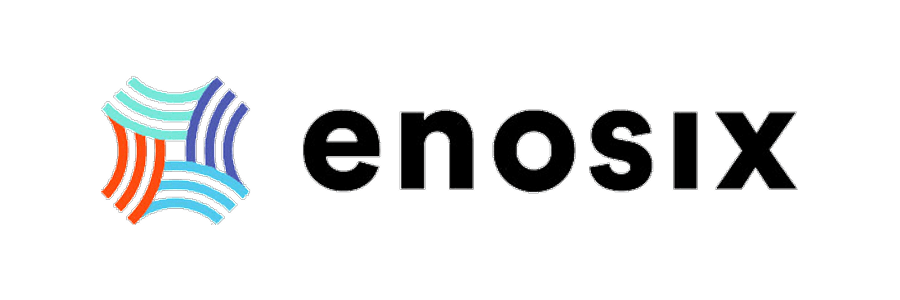 Enosix Logo