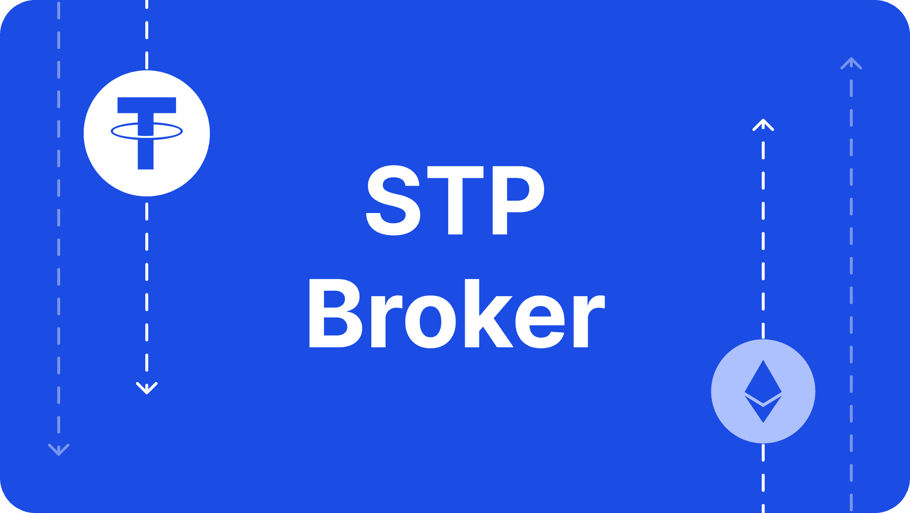 STP Broker: What is it, and You to Start One?