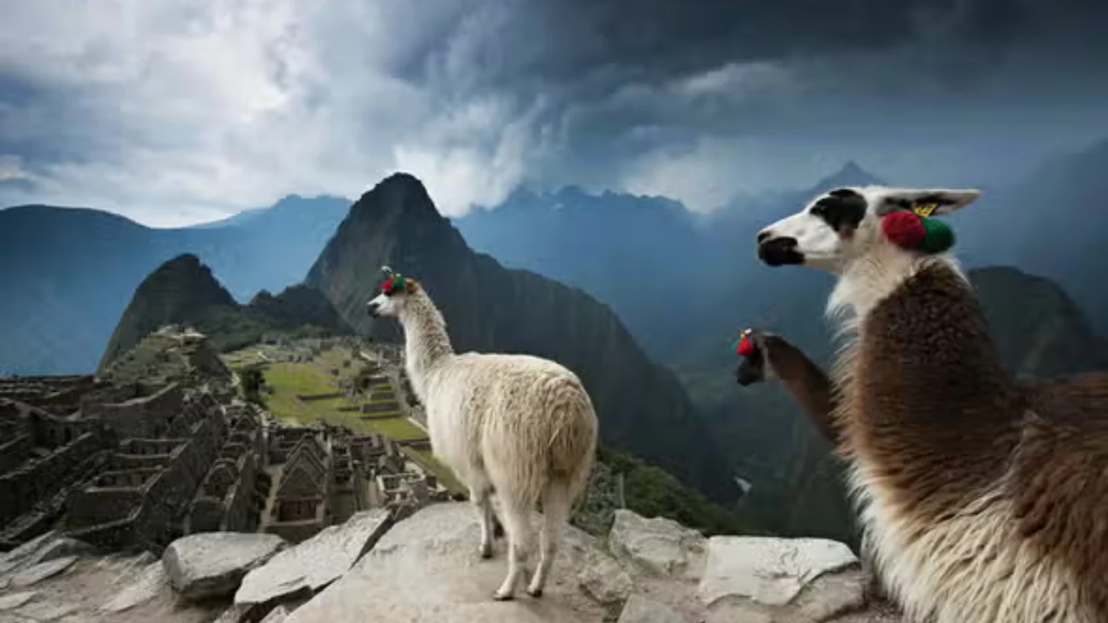 machu picchu travel packages