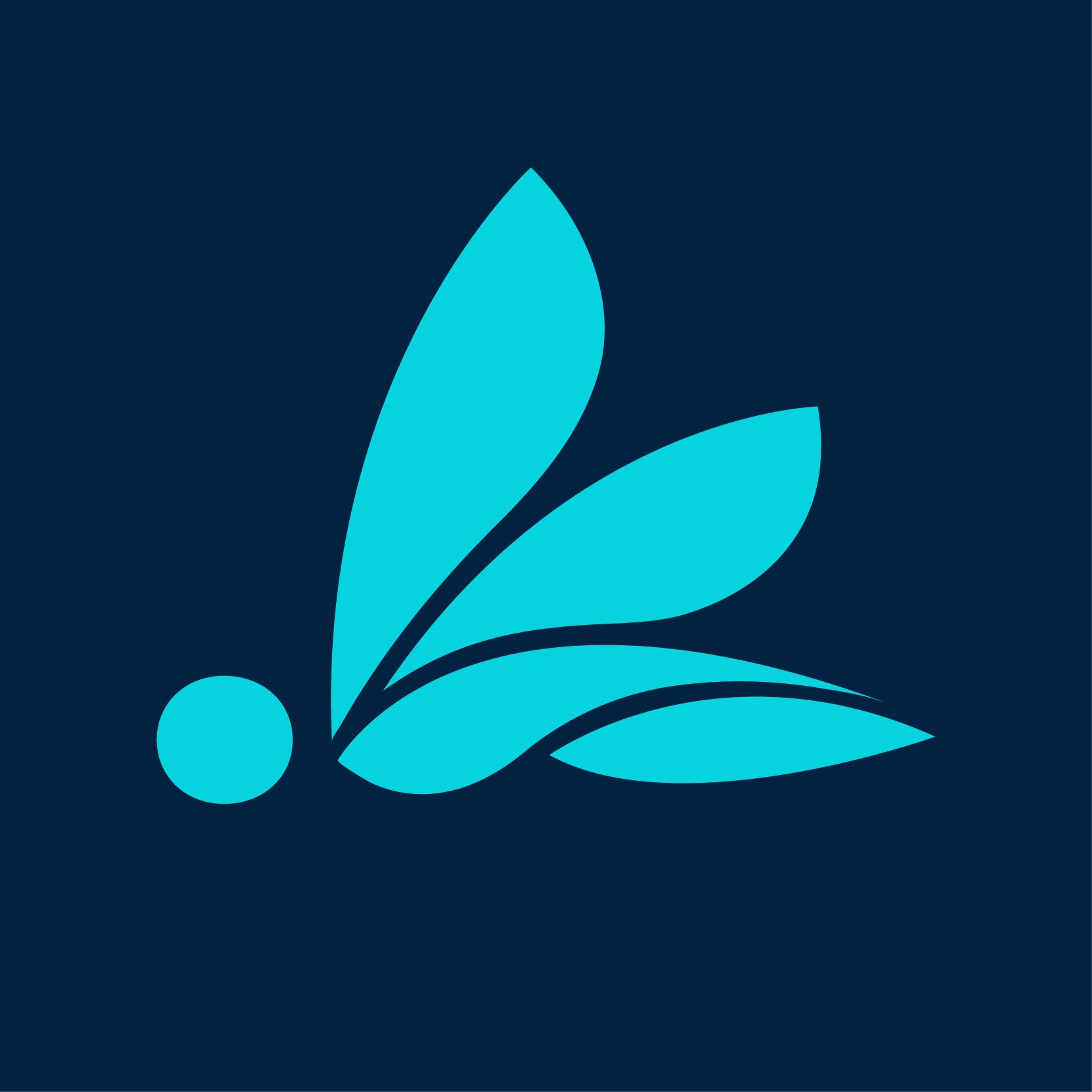 Team Image