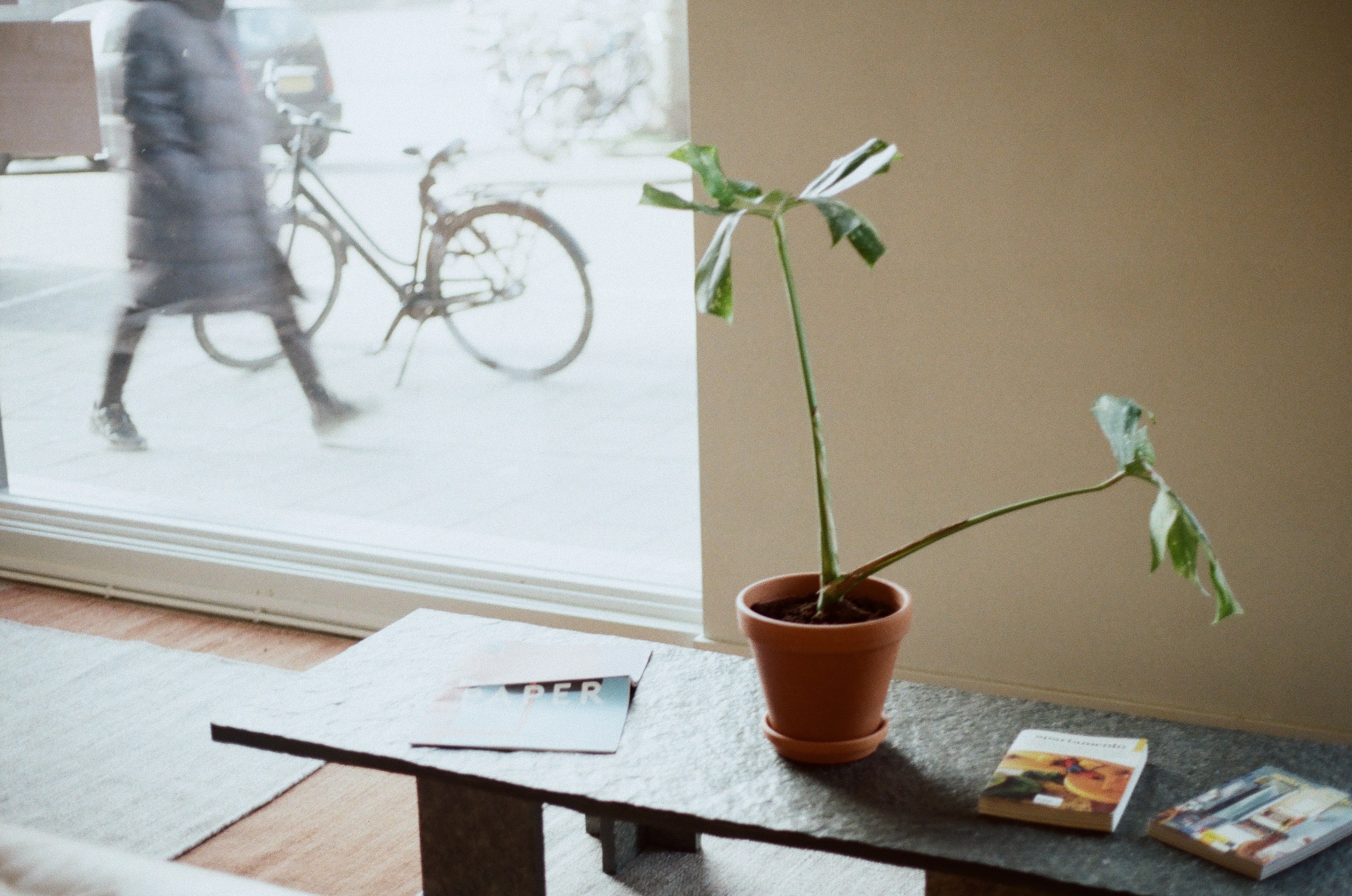 woman doing exercise routine