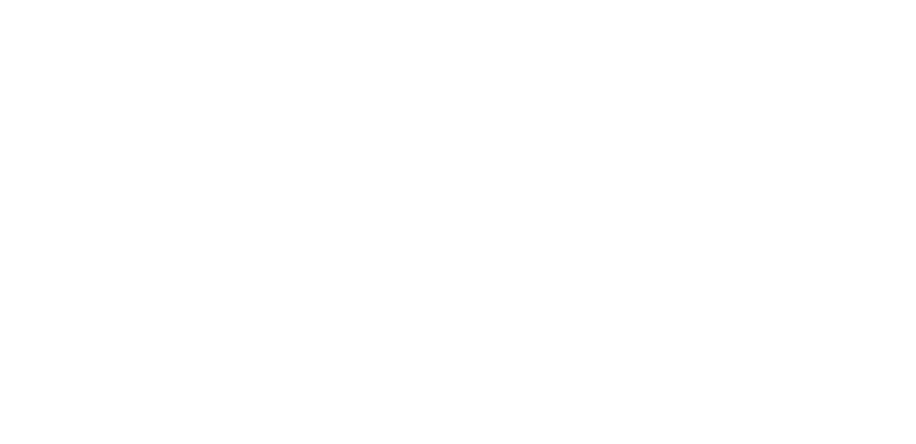 EFX Logo