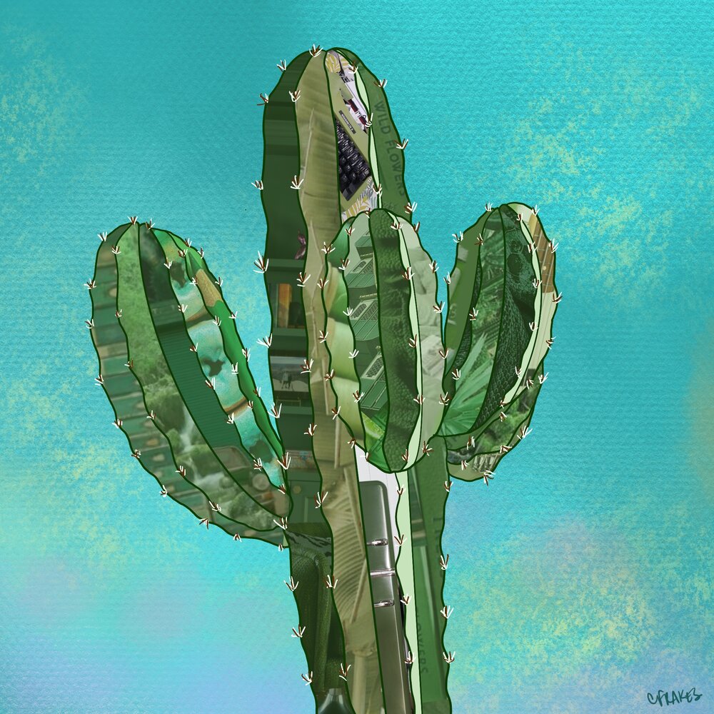 Cactus Collage