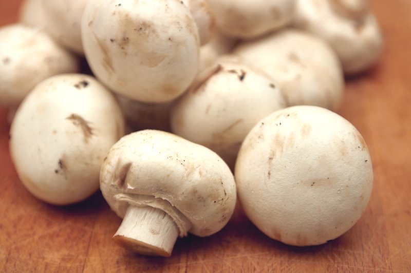 Funghi champignon