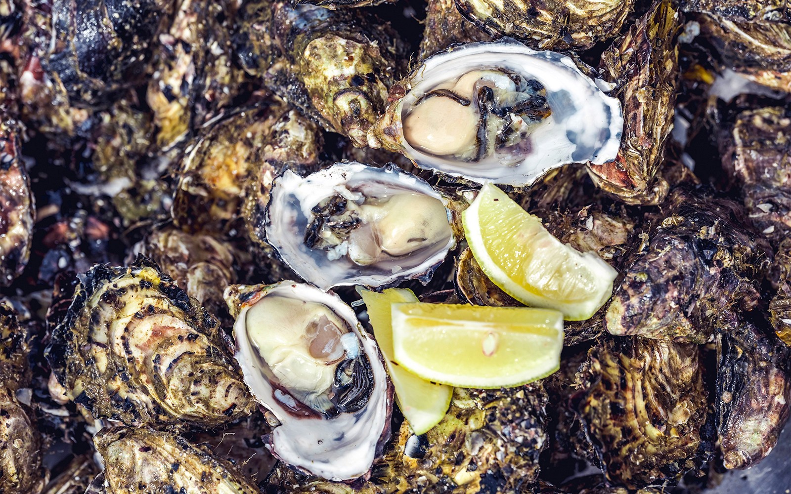 塔斯马尼亚海鲜诱惑之旅中的柠檬片牡蛎。