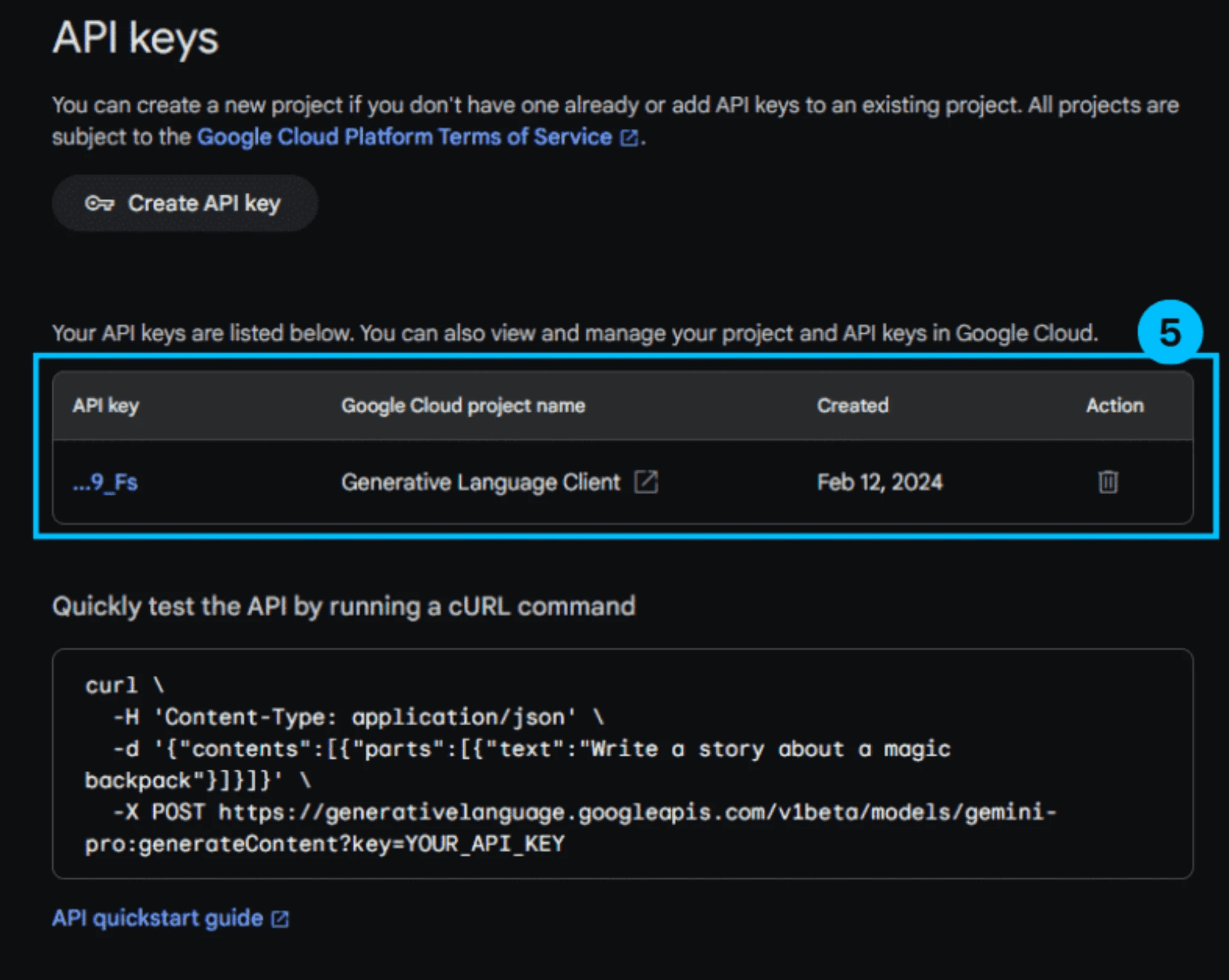 step1-3-get-api-key