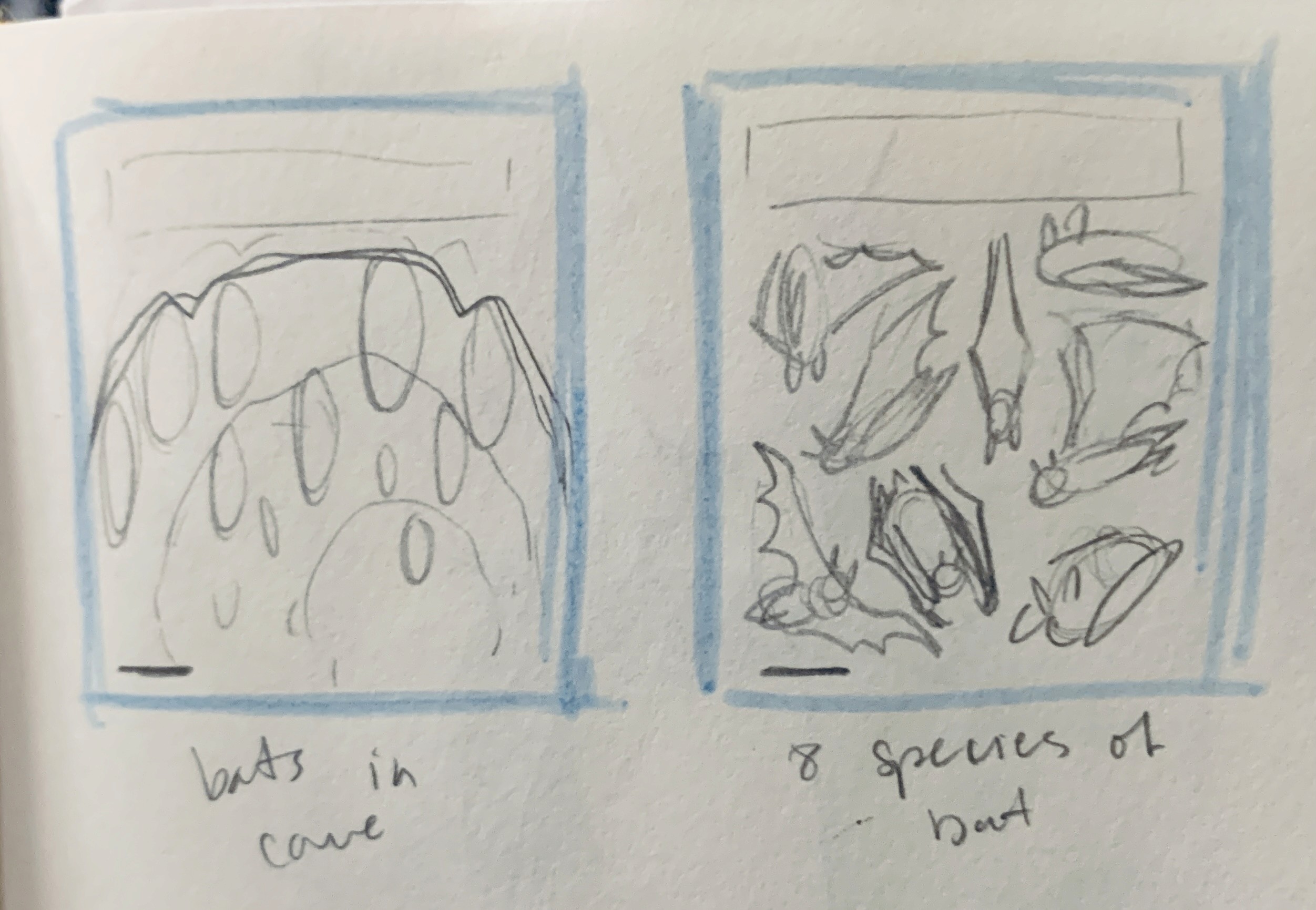 Sketch of illustrated cover