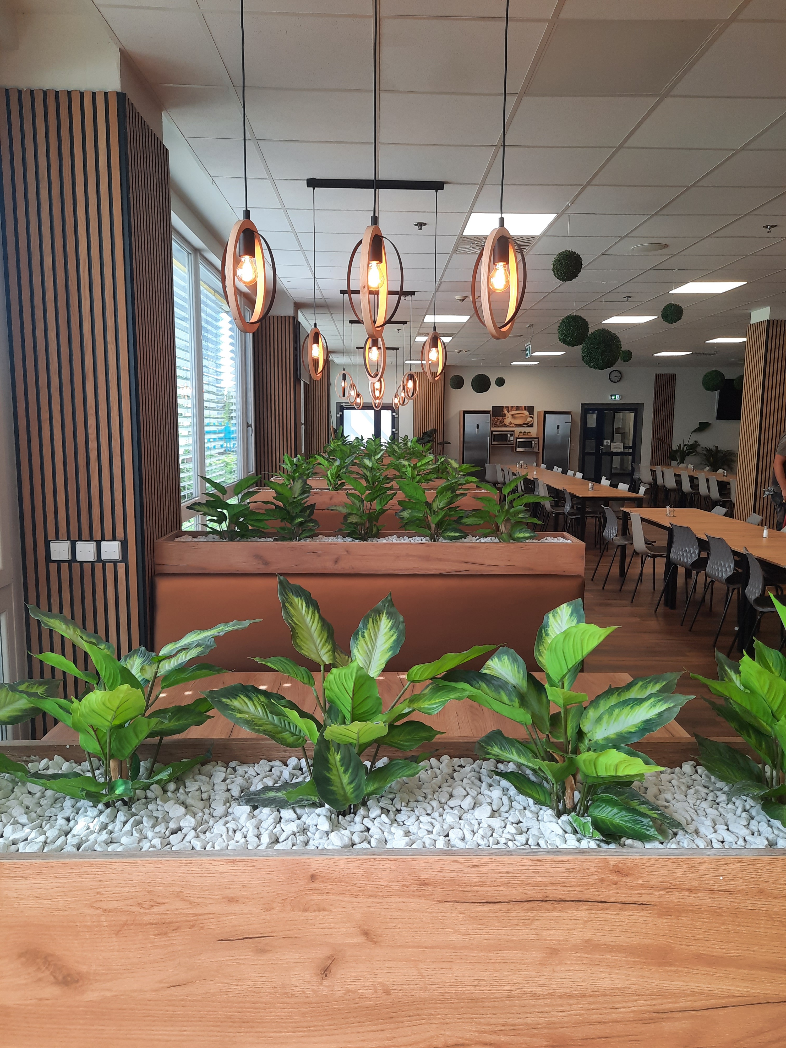 Beltéri növényzet irodában