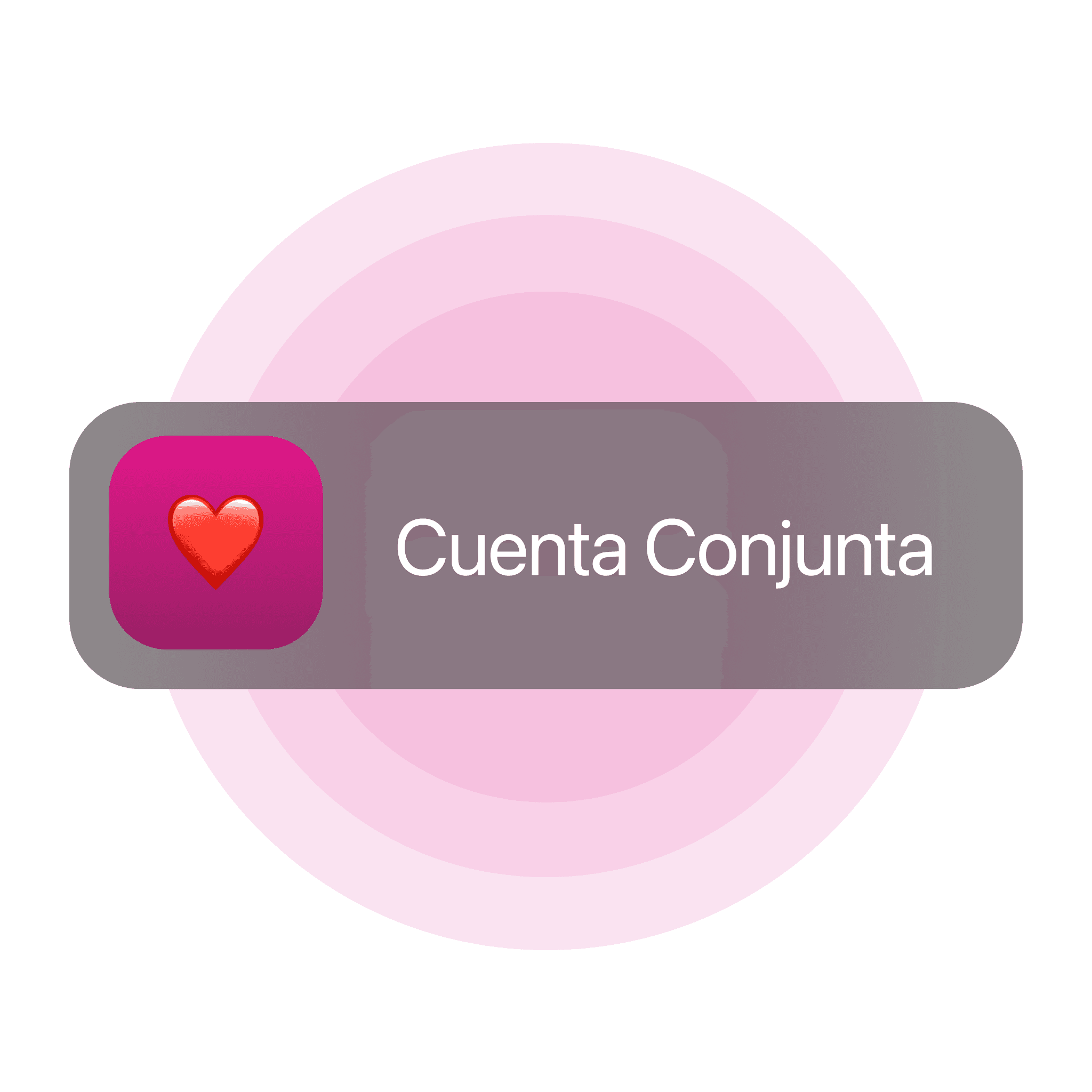 Graphic showing a joint account balance of €2,500 with two user icons above the text.