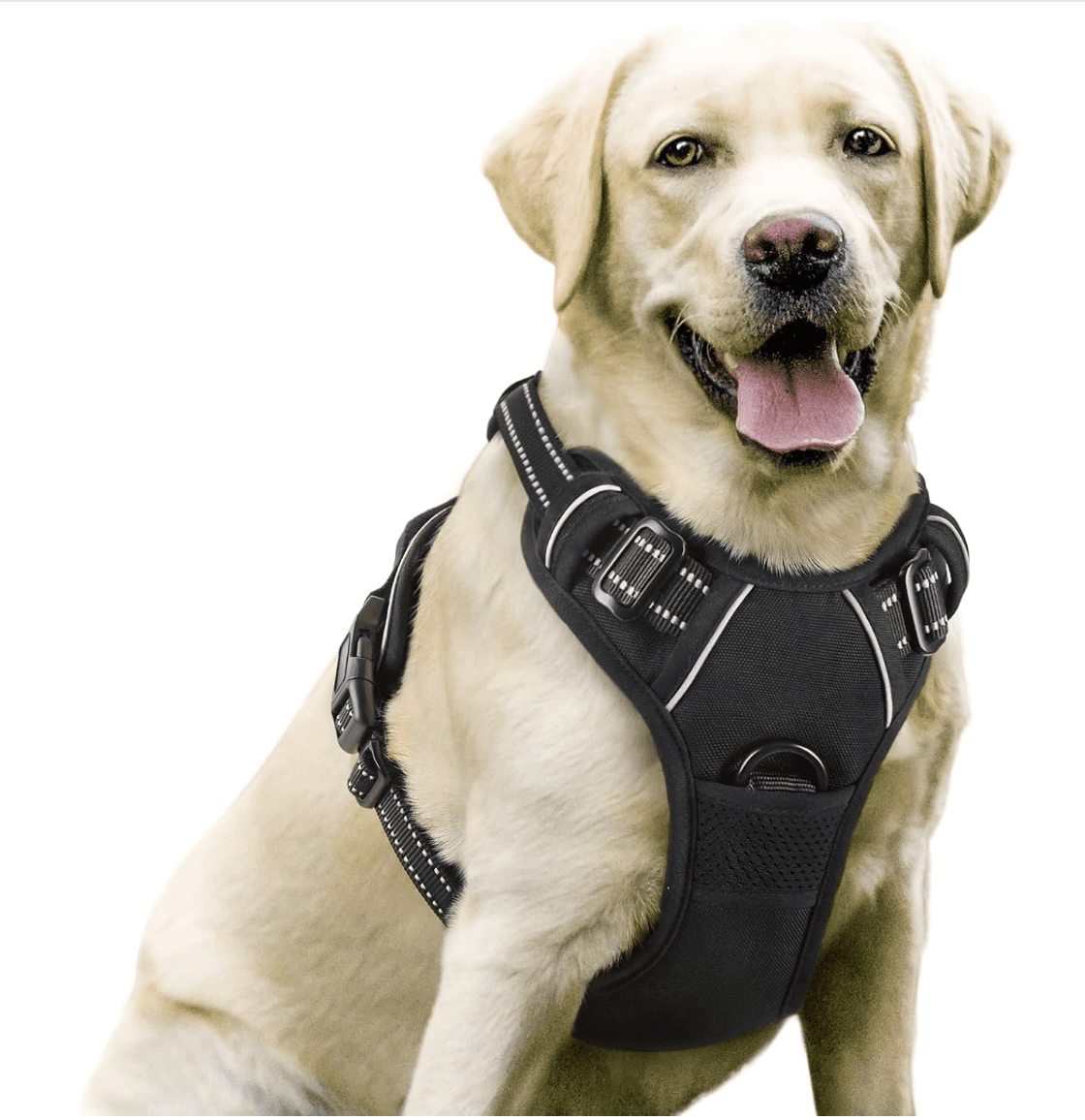 Rabbitgoo Dog Harness No-Pull Pet Harness Adjustable Outdoor Pet Vest