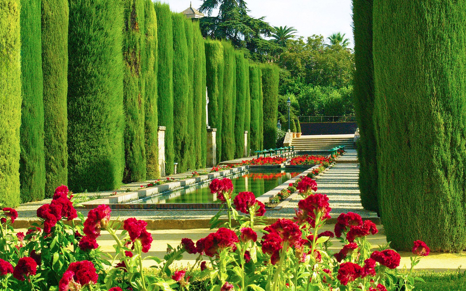 Sendero del jardín bordeado de cipreses con flores rojas en el Alcázar de Córdoba.
