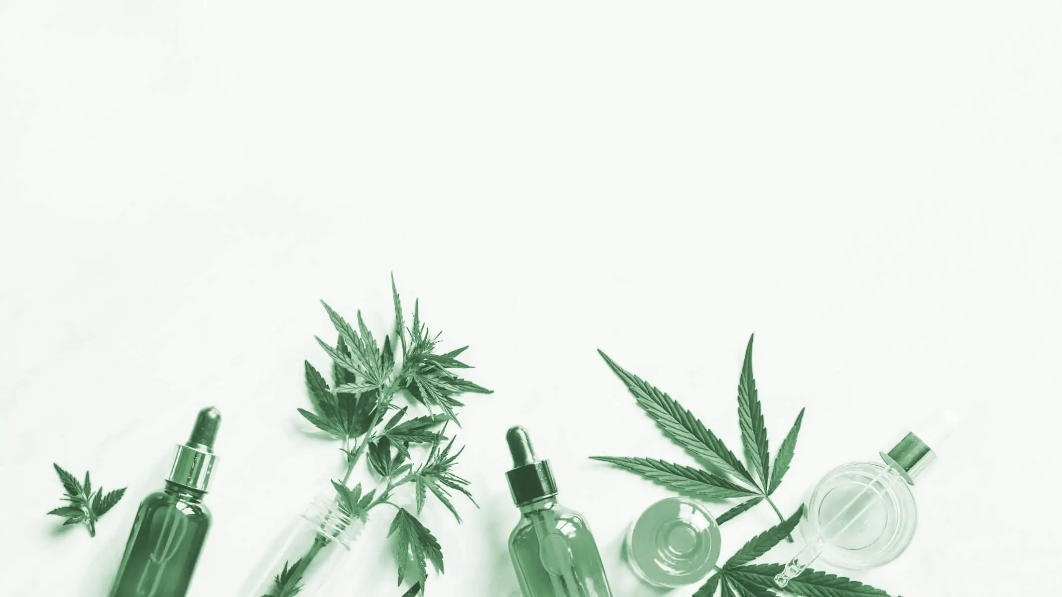 Close-up of fresh cannabis plant leaves alongside premium plant-based remedy bottles, highlighting natural health solutions for women's wellness.