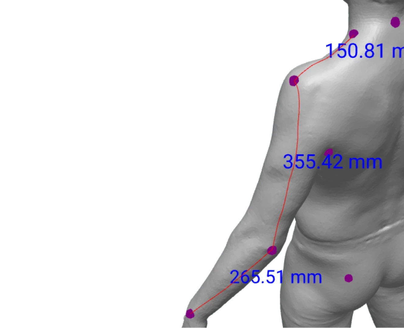 Close-up view of 3D model arm measurement data, with points on neck, shoulder, elbow and wrist.