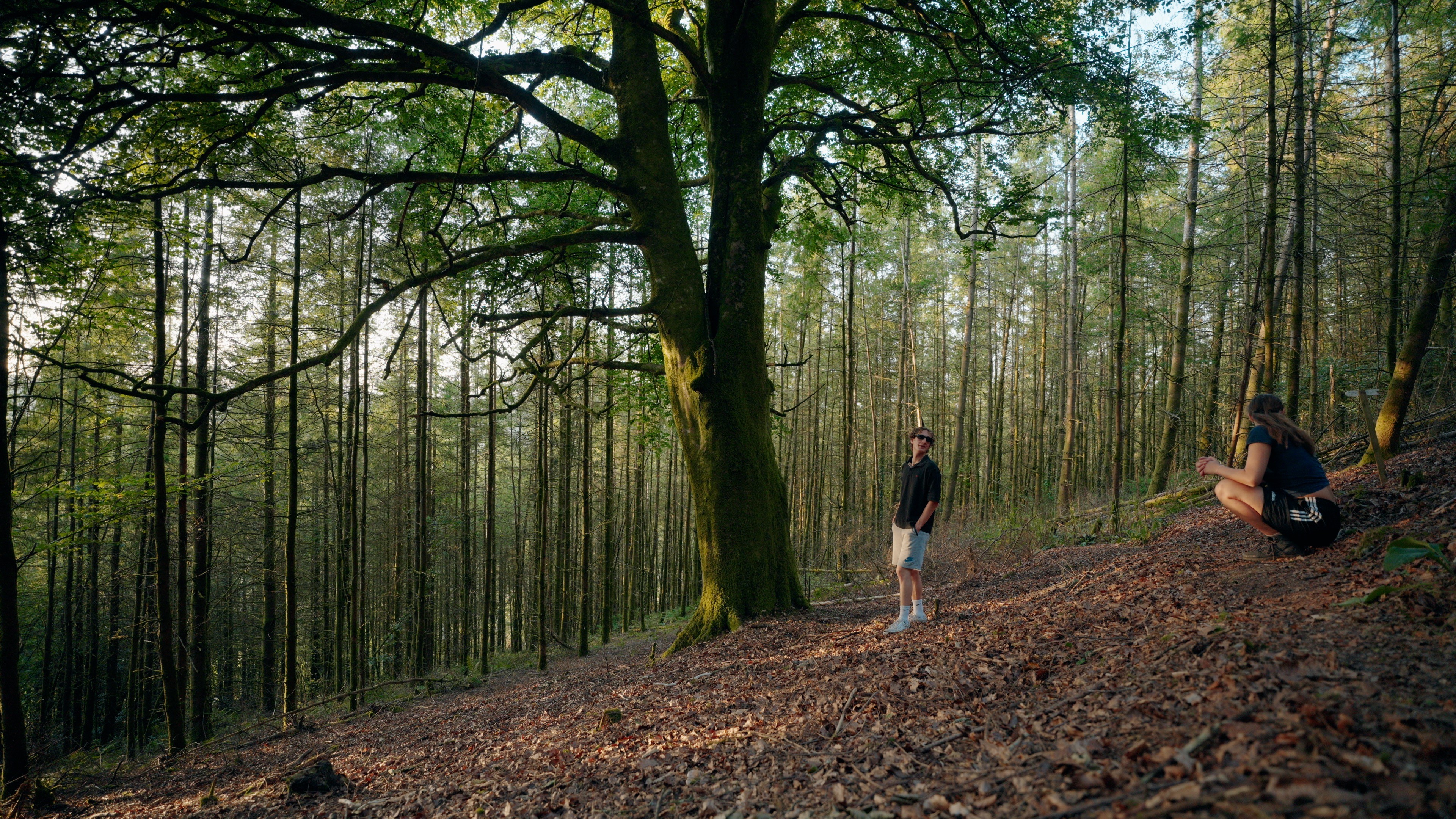 Field image 5