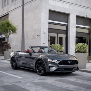 Ford Car Rental - Royal Car Collection