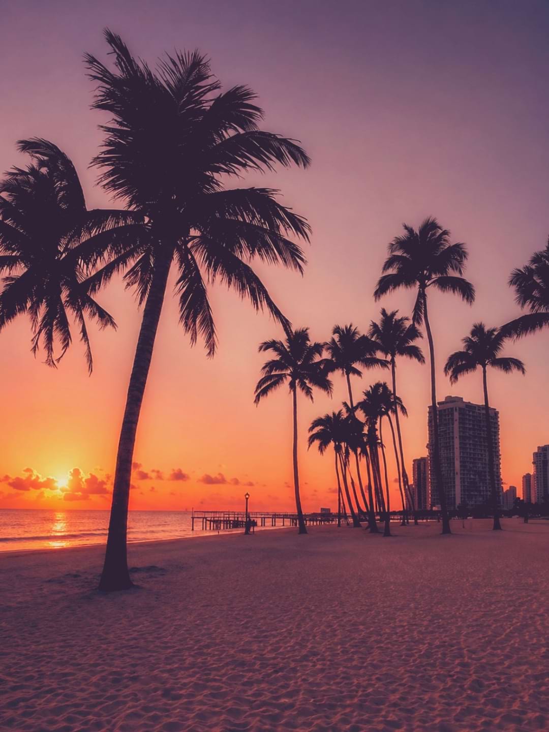 Palm tree silhouettes against a dramatic orange and purple sunset over the ocean with a pier on the horizon — the wide-horizon sky MAGIC01 amplifies for drama and MAGIC07 softens for elegance