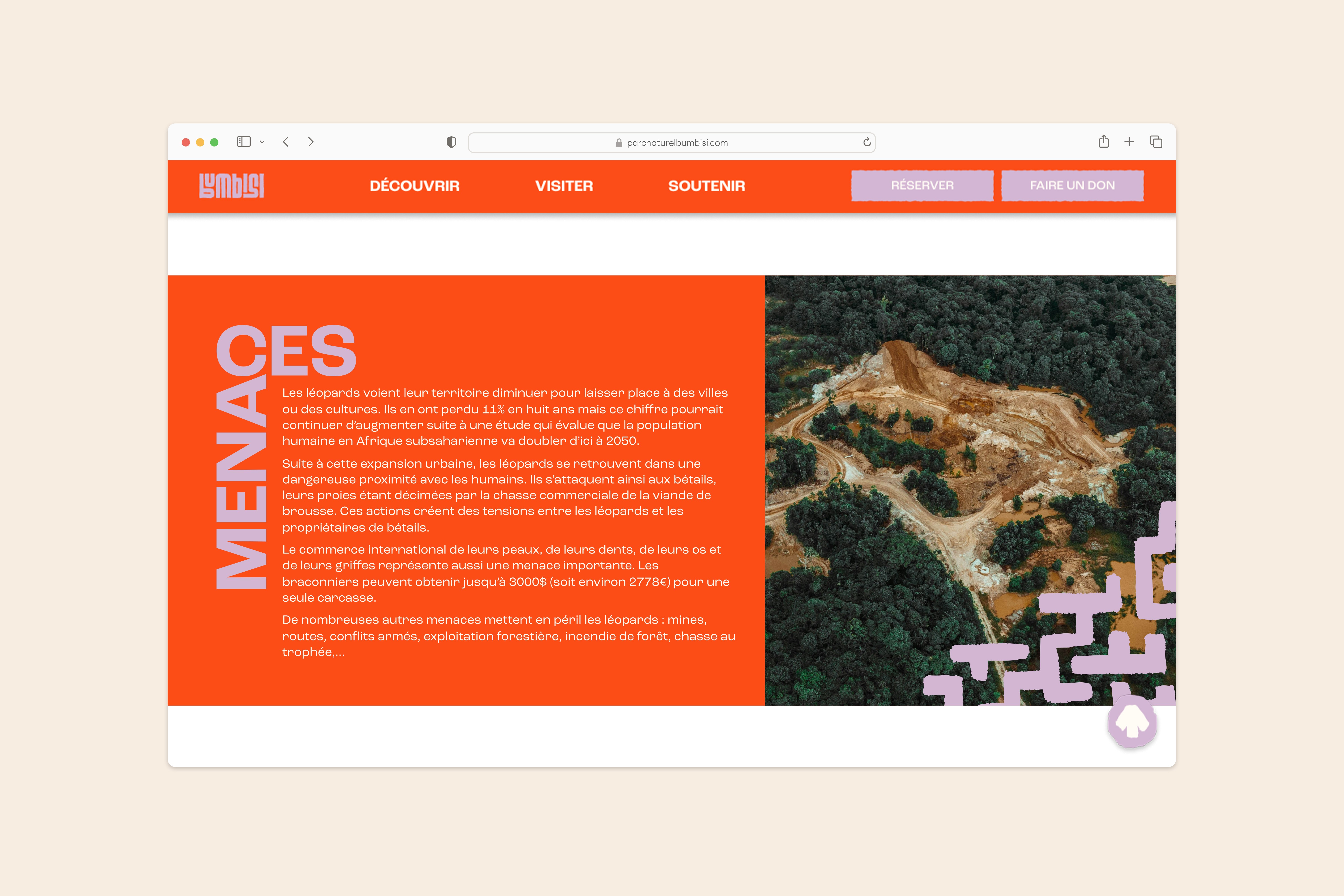 Page sur léopard sur le site