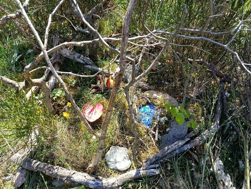 gegenstände im geäst auf wiesenboden