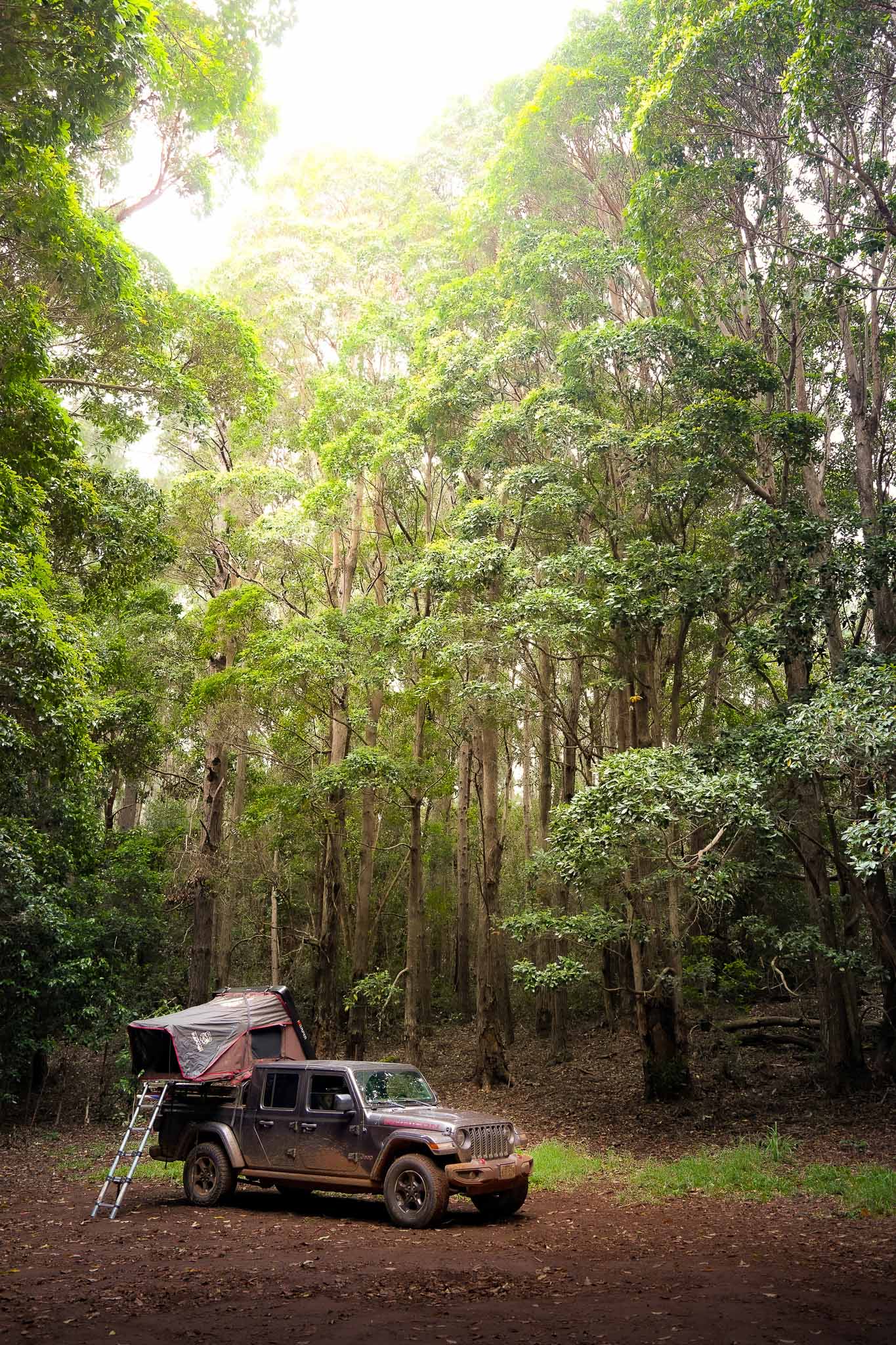 rubicon forest camping jeep tent kauai