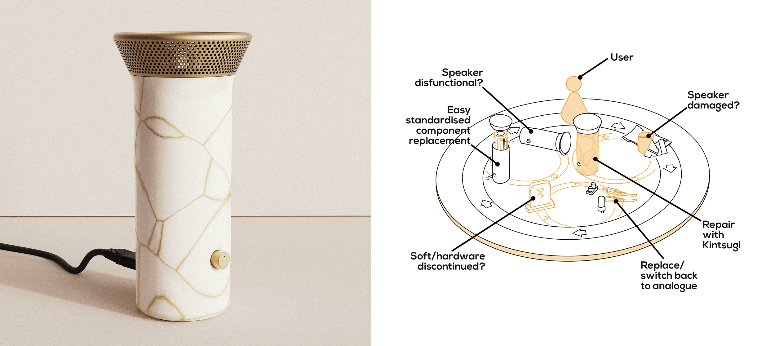 Image of the Longevity speaker and its lifecycle schematic