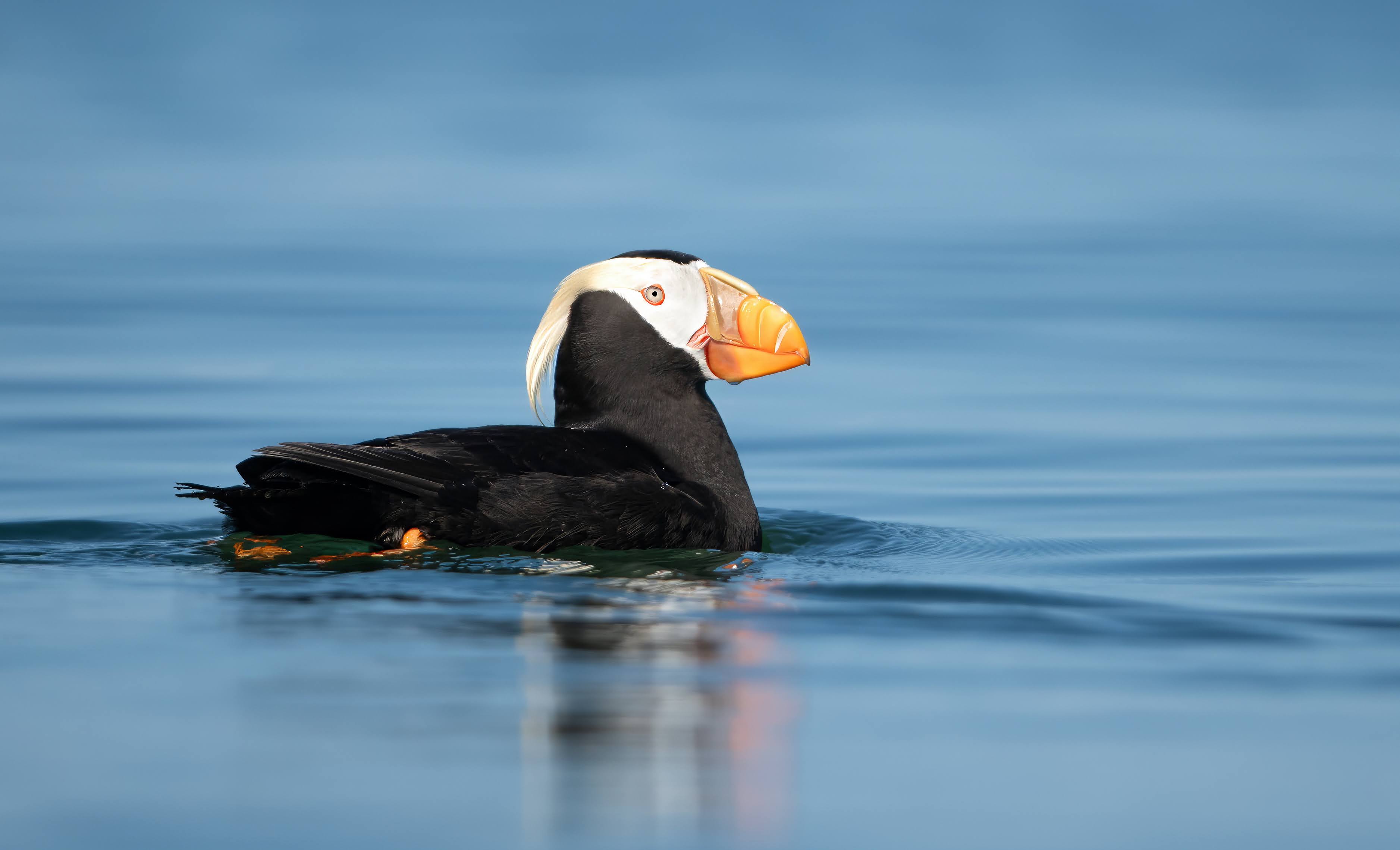 Photo of Irene in a neon scene