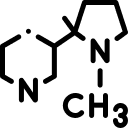 A molecular model of the chemical component nicotine