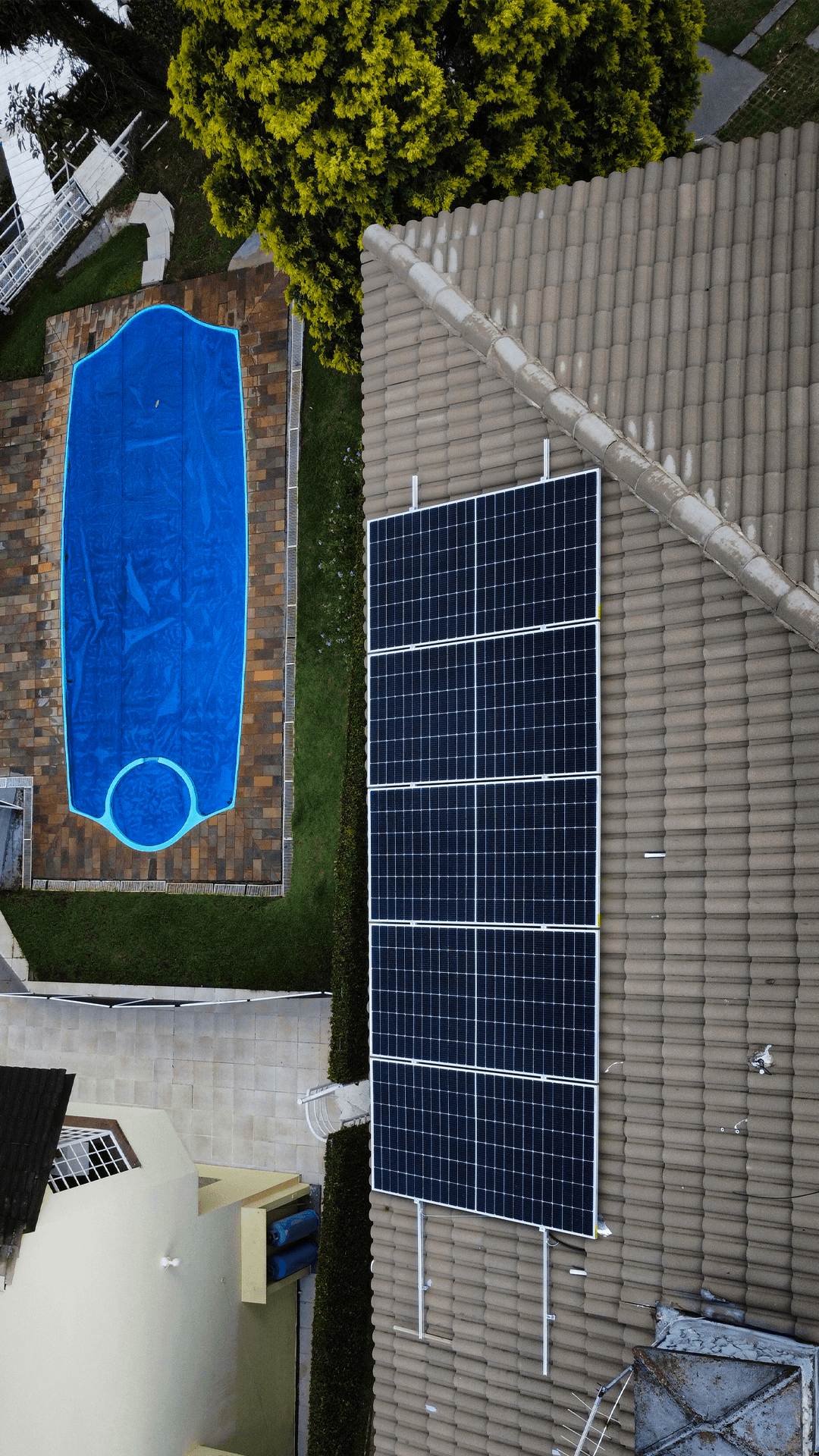 Close-up of a tree stump showing growth rings and a textured brown wood surface.