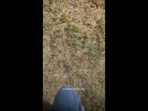 Thumbnail of a recent video from creator