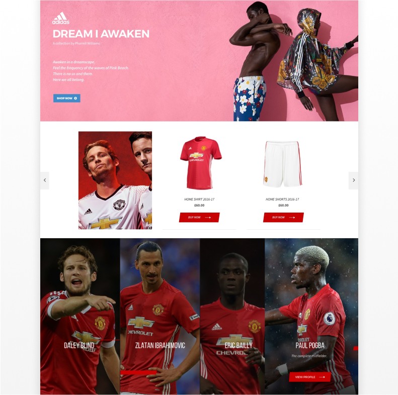 Showcase image