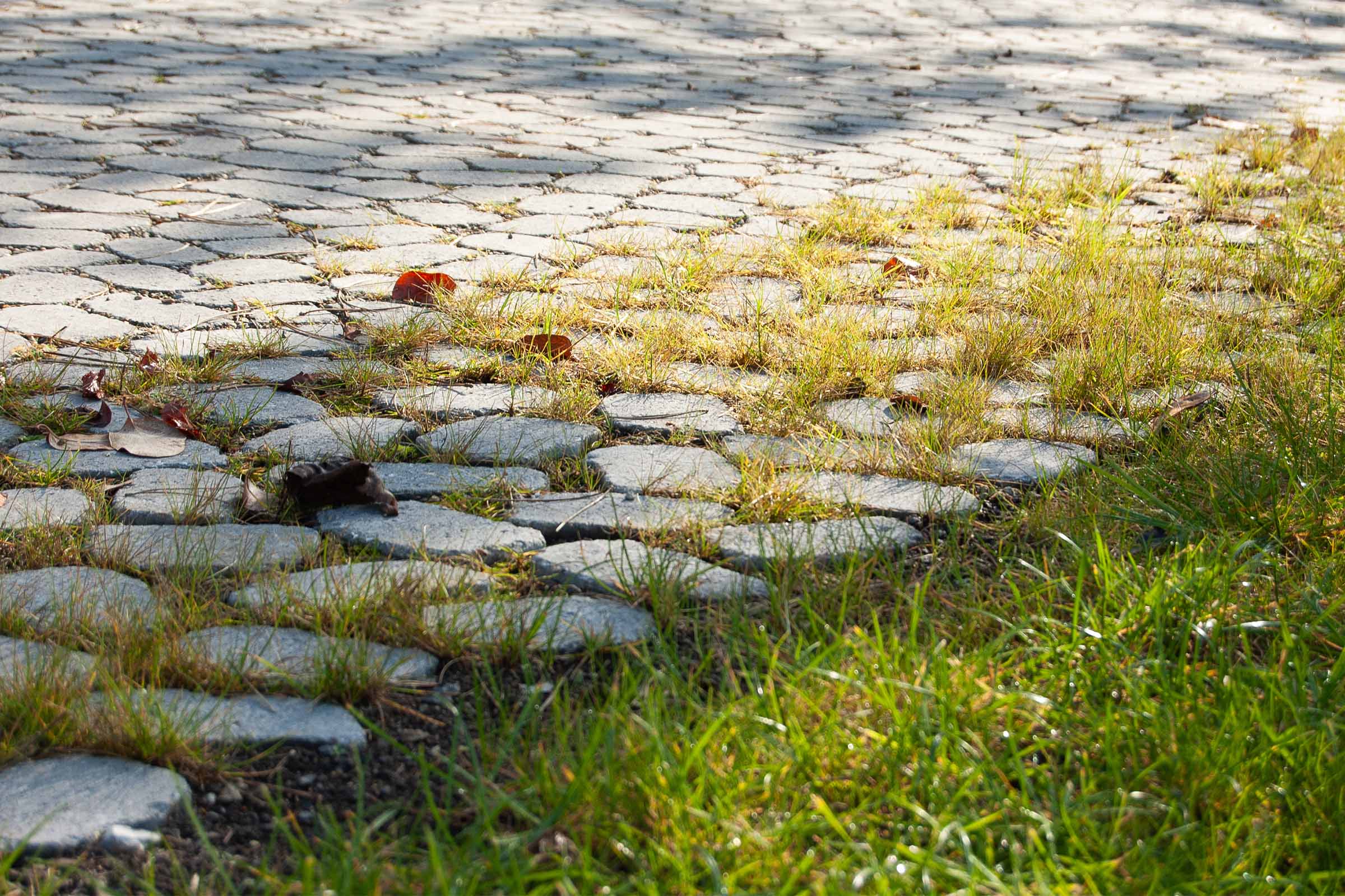 Übergang Wiese – Pflaster, versickerungsfähig verlegt