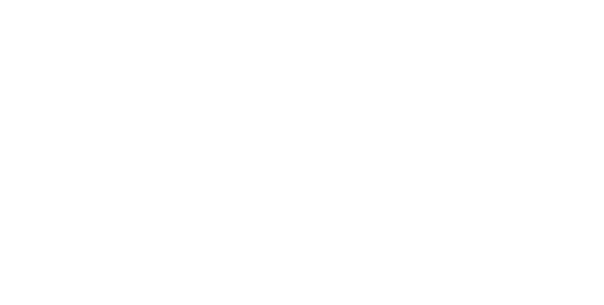 Logo BIT