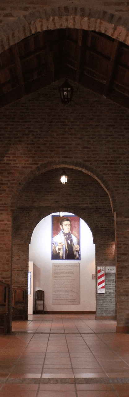 Portrait of a laughing person with curly hair wearing a white shirt