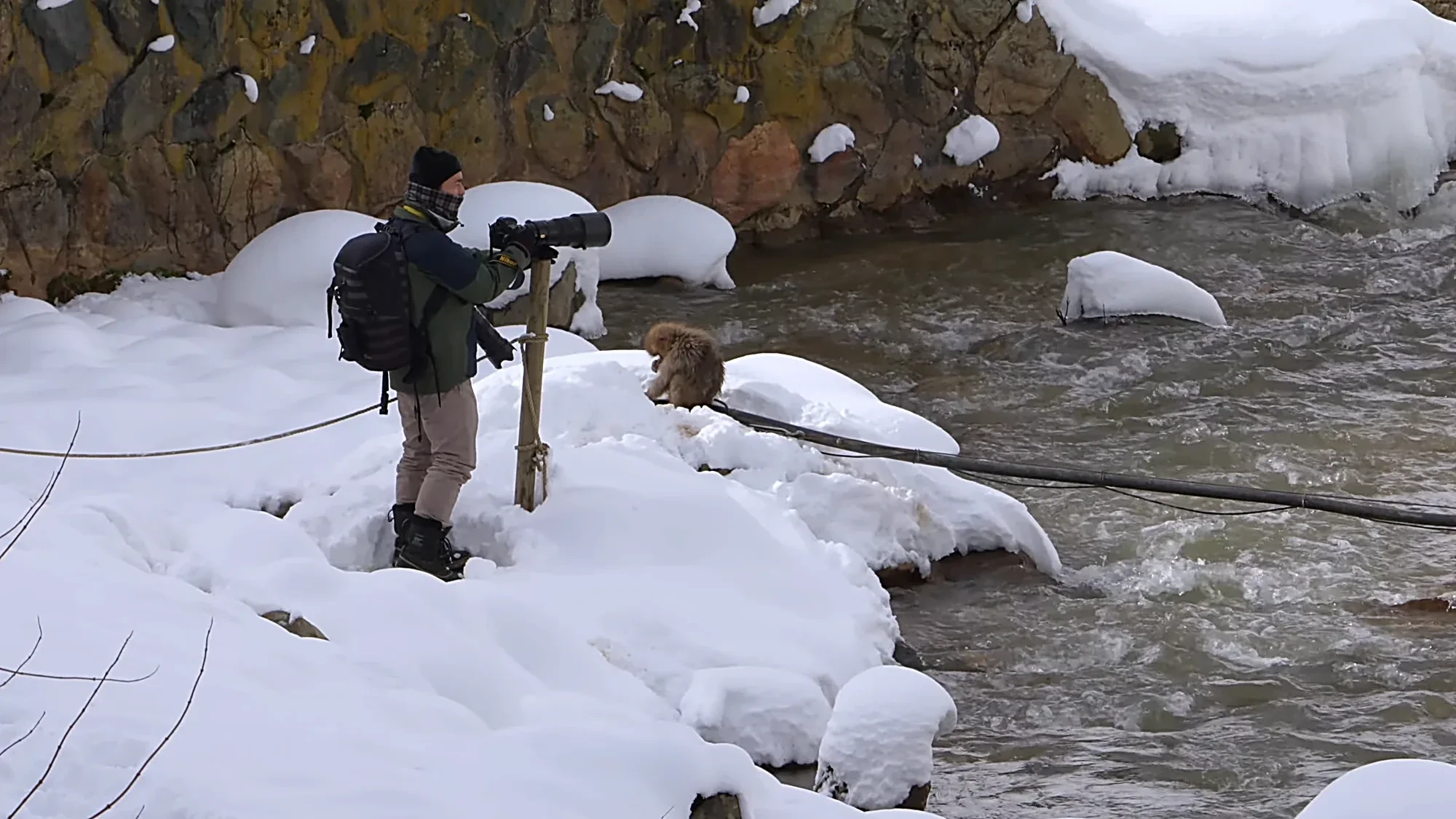 Snow monkeys soak in the hot spring while visitors photograph them from a snowy ledge a few feet away.