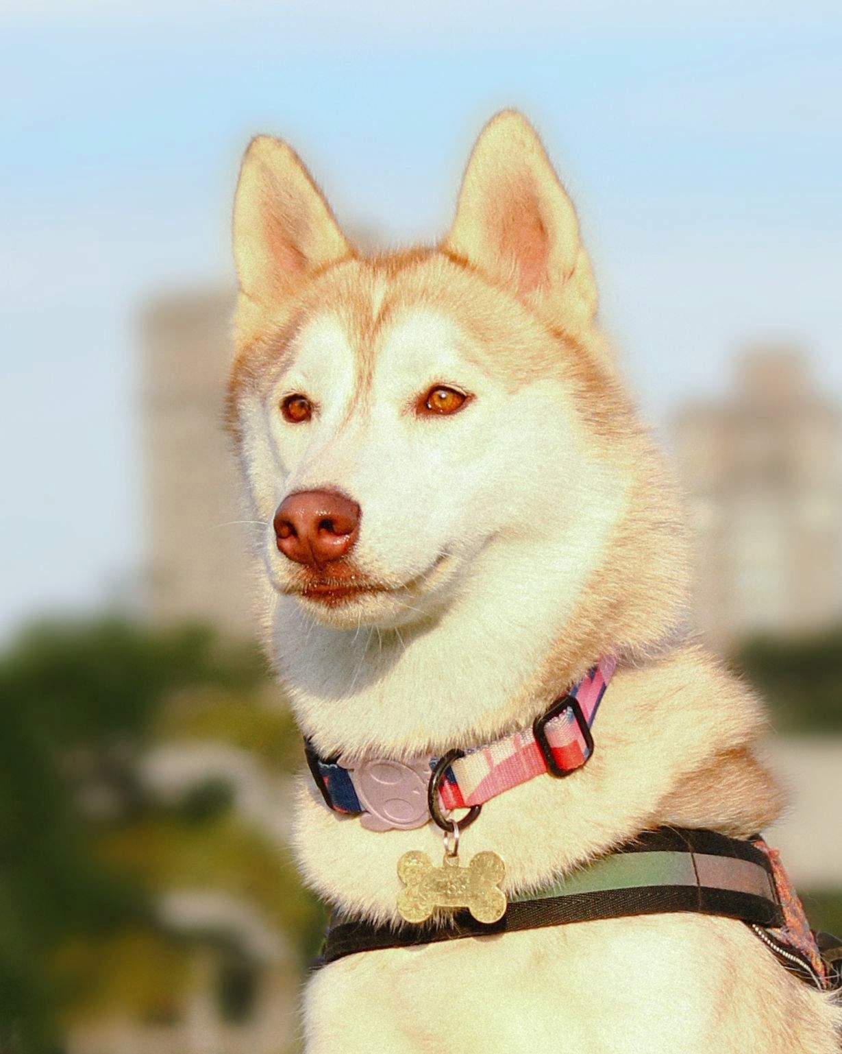 Portrait of portfolio creator – front view