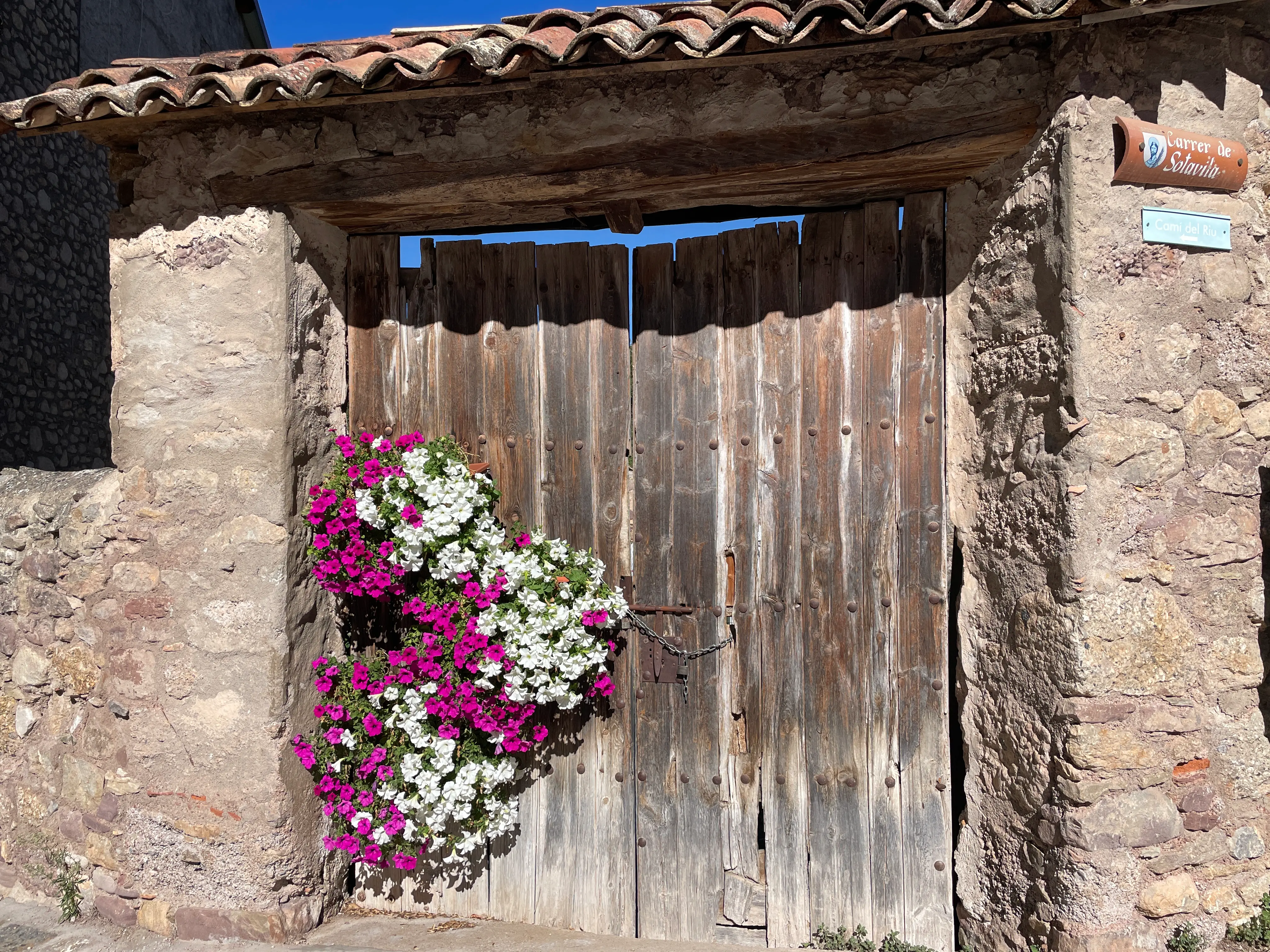 two sheep in the valley