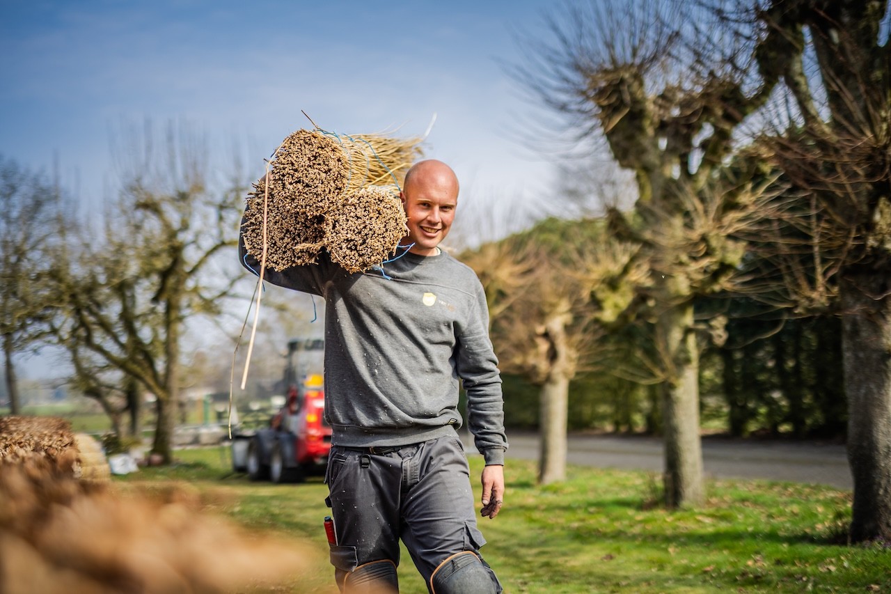 Rietdekker van Rietdekkersbedrijf Van Dijk draagt bos riet voor het aanleggen van een rieten dak.