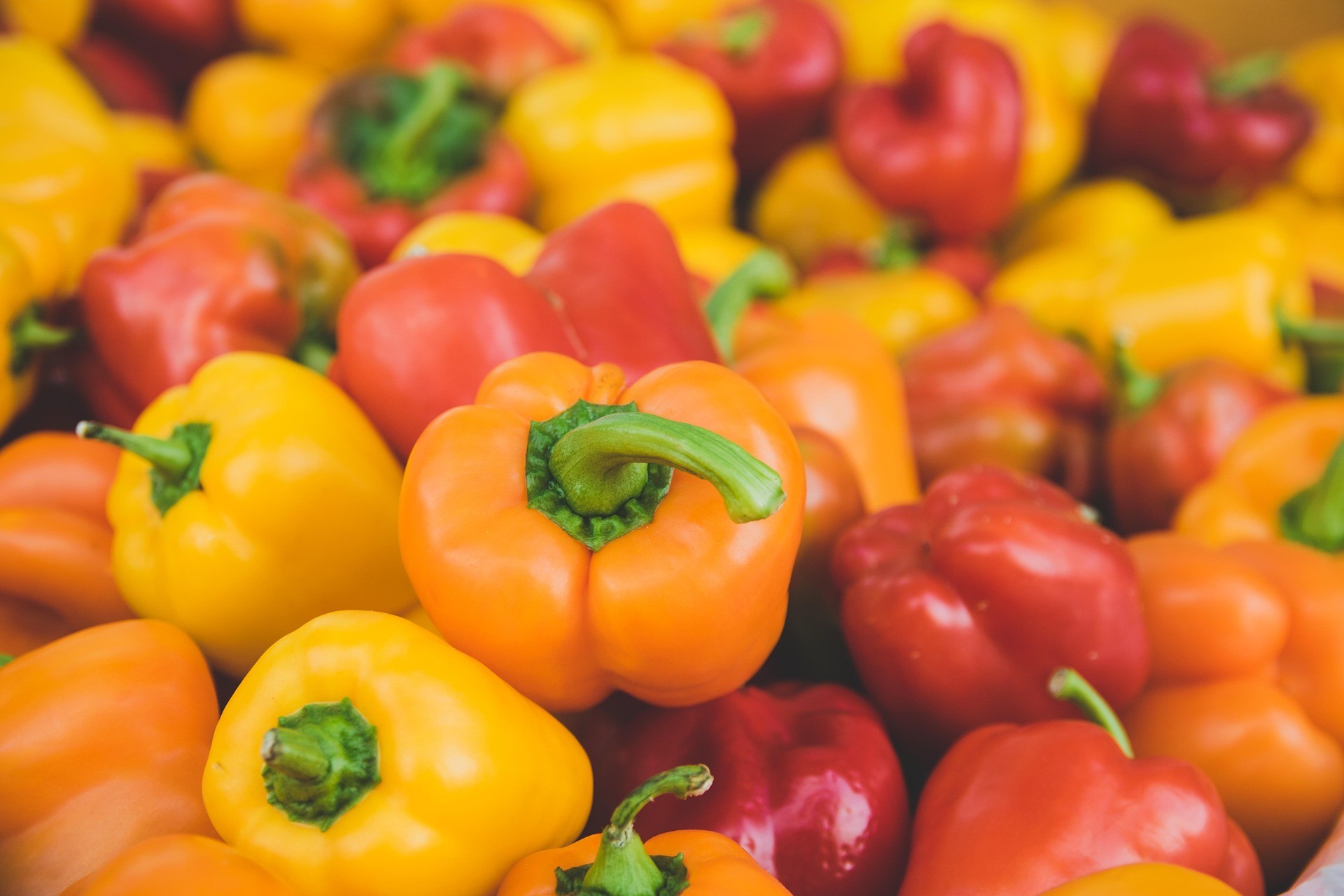 Assortment of fresh bell peppers in yellow, orange, and red colors