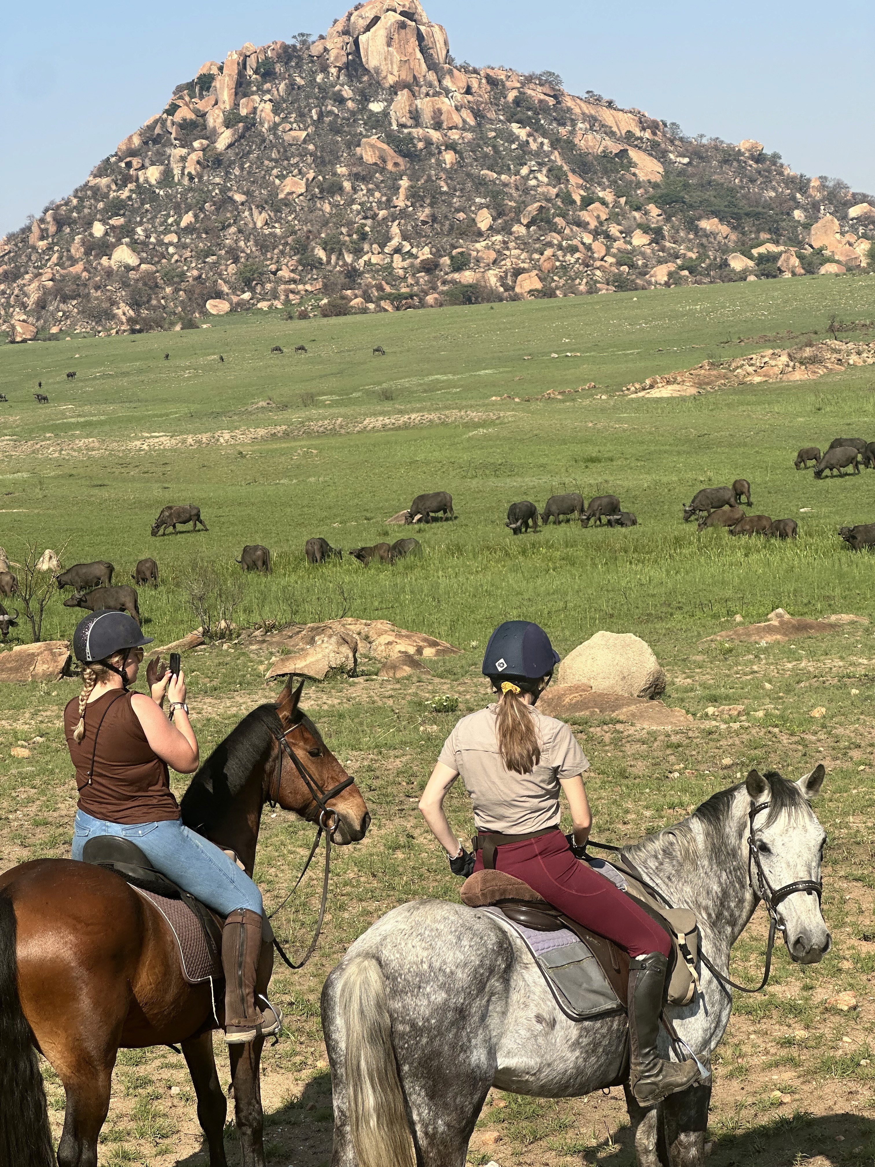 Kilimanjaro Elephant Ride, Arusha National Park, Tanzania – elefant i högt gräs tittar mot kameran, medan fem ryttare till häst på ridsafari i bakgrunden betraktar elefanten i ett grönt och frodigt landskap.