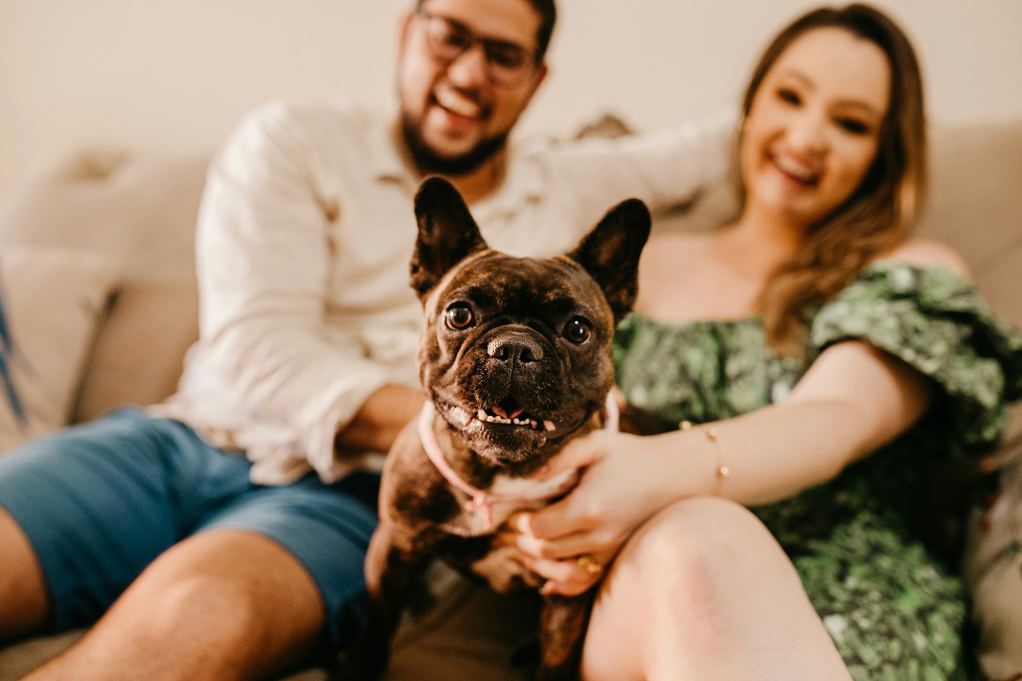 French Bulldog sitting in front of a smiling couple, radiating playful energy