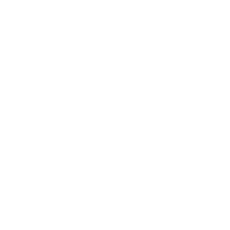 Logo Design Project for a Client